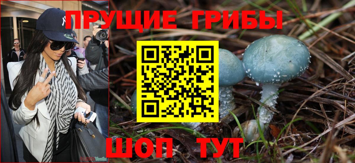 Псилоцибиновые грибы Magic Shrooms  где купить   Одинцово  Вход с VPN 